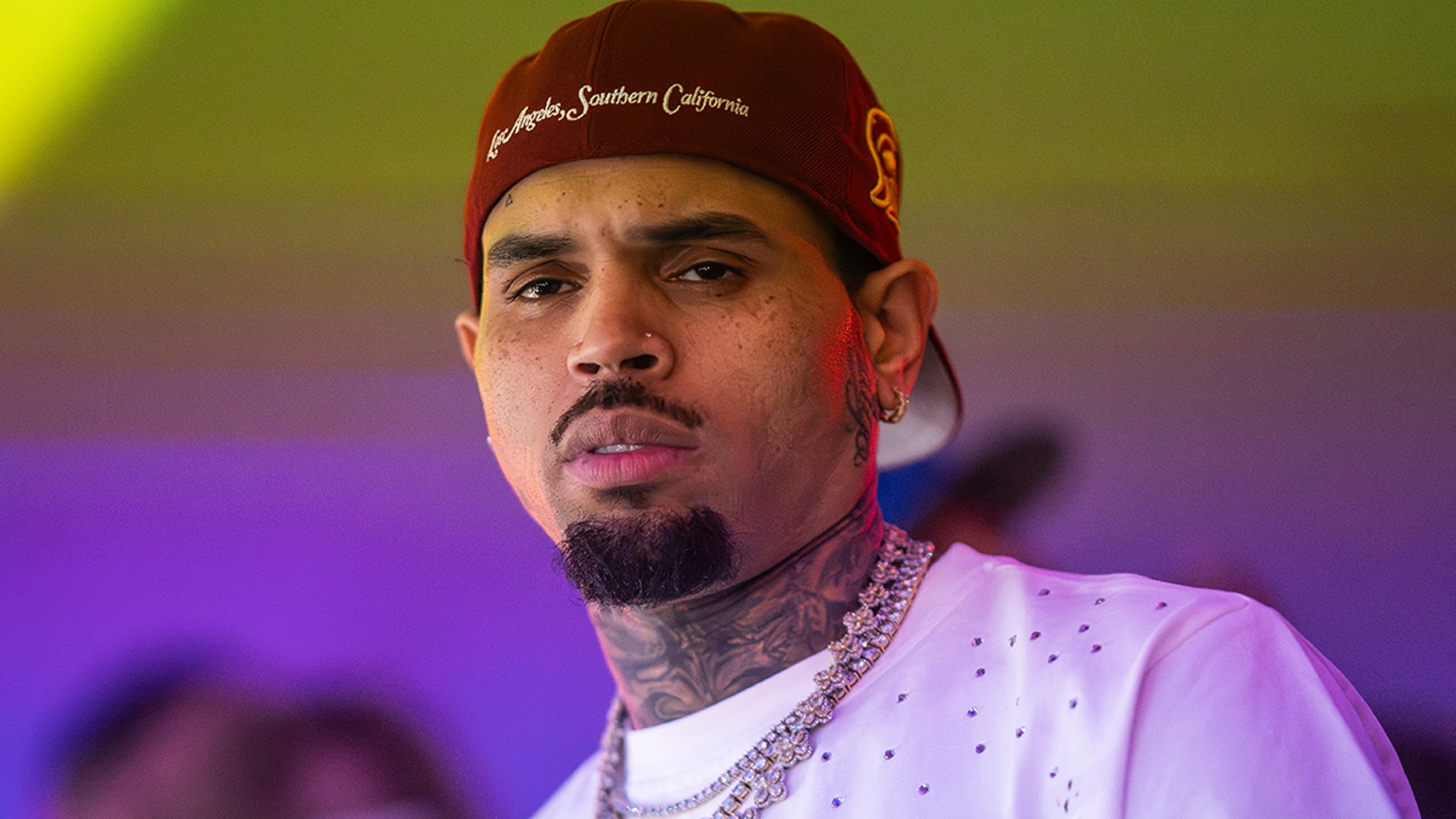 Chris Brown Ordered to Pay $13 Million After Dog Attack Incident