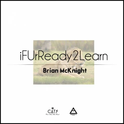 Brian McKnight iFUrReady