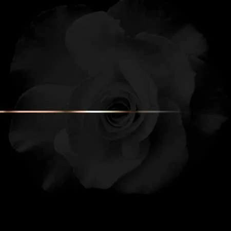 This K. Roosevelt “RoseGold” EP is Pretty Damn Good (Listen & Download)